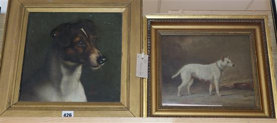 English School (early 19th century), oil on panel, mastiff bitch in a stable, 23 x 18cm and an Edwardian oil portrait of a terrier,